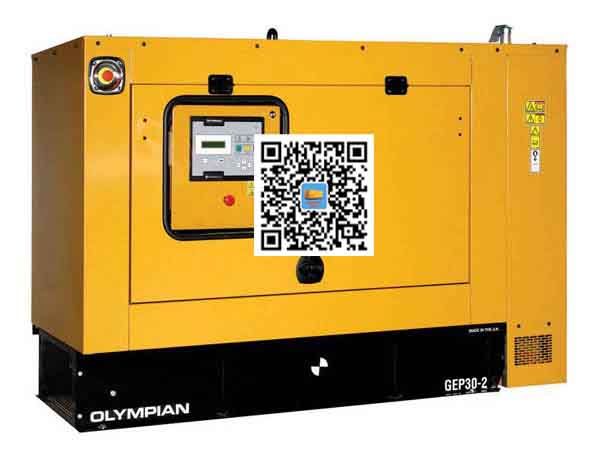 安塞出租发电机组配置有哪些重要特点